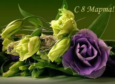 Открытки на 8 марта Открытка с праздником 8 марта,с 8 марта,поздравления на 8 марта