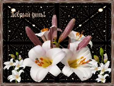 Открытки добрый день Открытка гиф , мерцающая добрый день,пожелания доброго дня .