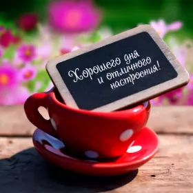 Хорошего дня Открытка картинка хорошего дня красивая открытка с пожеланиями хорошего дня