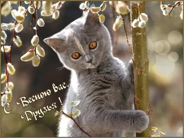 Открытки первый день весны Открытка гиф,мерцающая с первым днём весны,первый день весны