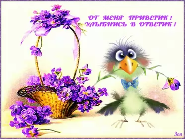 Привет,приветствие Открытки картинки привет,приветствие,красивые открытки привет