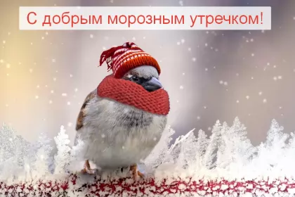 Открытки с добрым морозным утром Открытка картинка с морозным добрым утром,зимнее доброе утро