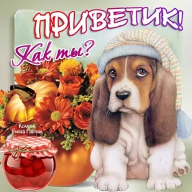 Привет,приветствие Открытки картинки привет,приветствие,красивые открытки привет