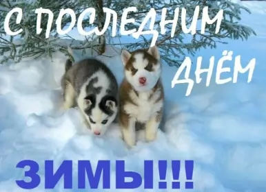 Открытки с последним днём зимы Открытка картинка с последним днём зимы,последний зимний день