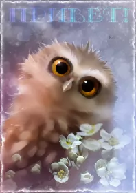 Привет,приветствие Открытка картинка гиф ,мерцающая привет,приветсвие,передать привет