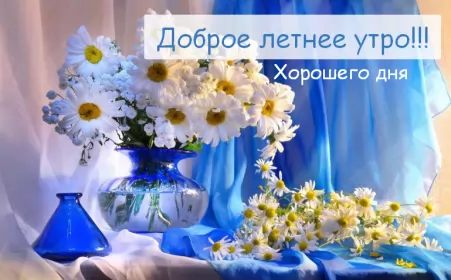 Доброе летнее утро Открытка с добрым летним утром,доброго летнего утра,летнее утро,ромашки