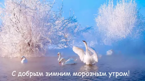 Открытки с добрым морозным утром Открытка картинка с морозным добрым утром,зимнее доброе утро
