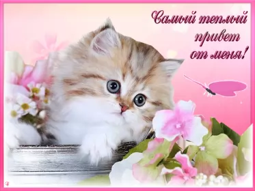 Привет,приветствие Открытка картинка гиф ,мерцающая привет,приветсвие,передать привет