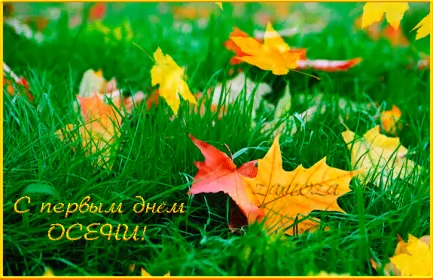 Открытки первый день осени Открытка гиф,мерцающая с первым днём осени,с наступлением осени