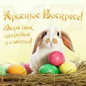 Открытки пасха Открытка пасха на пасху со светлым праздником пасхи поздравление