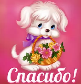 Открытки спасибо Открытки спасибо,благодарю,красивая открытка с надписью спасибо