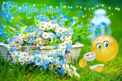 Доброе летнее утро Открытка с добрым летним утром,доброго летнего утра,летнее утро