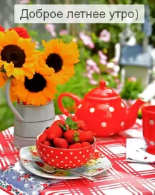 Доброе летнее утро Открытка с добрым летним утром,доброго летнего утра,летнее утро