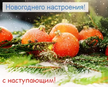 Открытки новогоднее настроение Открытка с пожеланиями новогоднего настроения,ель,игрушка мандарин.