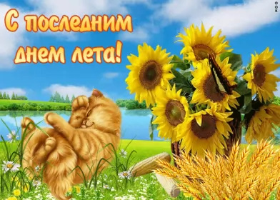 Открытки с последним днём лета Открытка последний день лета,с последним днём уходящего лета