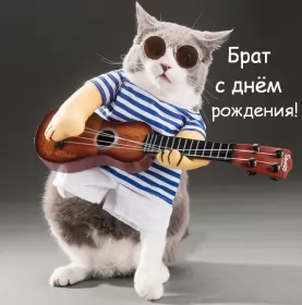 Открытки с днём рождения брату Открытки с днём рождения брат,поздравления для брата с днём рождения