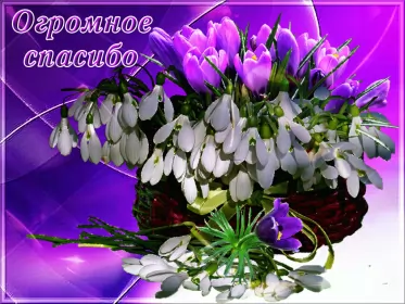 Открытки спасибо Открытки спасибо,благодарю,красивая открытка с надписью спасибо