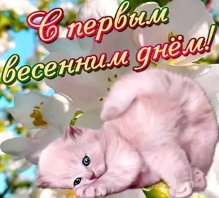 Открытки первый день весны Открытки первый день весны ,с первым весенним днём ,1 марта,котёнок