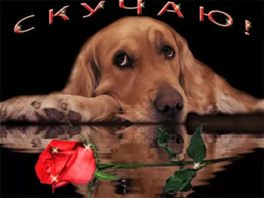 Открытки скучаю Открытка гиф ,мерцающая скучаю,скучаю по тебе,скучаю сильно.