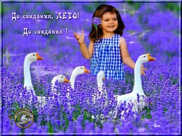 Открытки с последним днём лета Открытка последний день лета,с последним днём уходящего лета