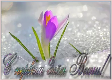 Открытки первый день весны Открытки первый день весны,поздравления с первым весенним днём