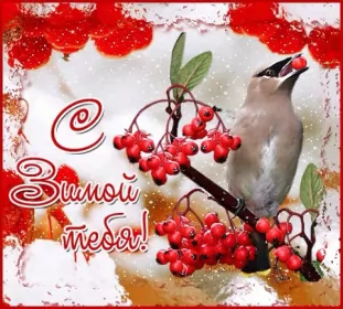 Открытки первый день зимы Открытки с поздравлениями первый день зимы,начало зимы,1 декабря