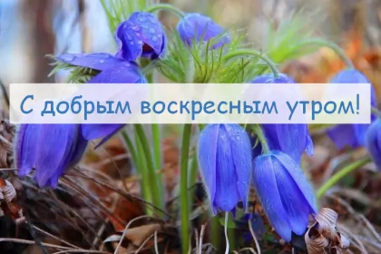 Доброе утро дни недели Открытка с добрым утром воскресенья,с добрым воскресным утром