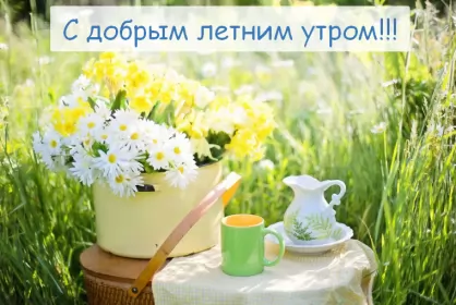 Доброе летнее утро Открытка с добрым летним утром,доброго летнего утра,красивый букет