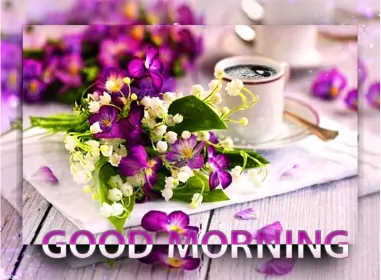Открытки Good Morning Открытки картинки  доброго утра , доброе утро Good Morning .