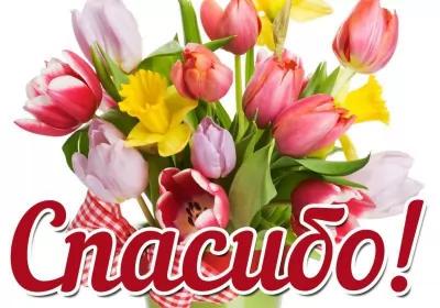 Открытки спасибо Открытки спасибо,благодарю,красивая открытка с надписью спасибо,тюльпаны