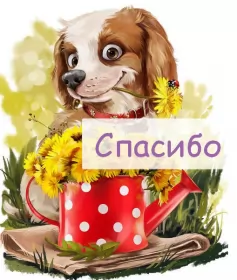 Открытки спасибо Открытки спасибо,благодарю,красивая открытка с надписью спасибо,собачка