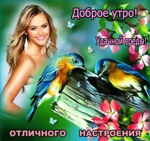 Доброе утро дни недели Открытка с пожеланиями доброго утра среды,с  добрым утром среда.