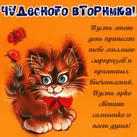 Вторник Рыжий кот