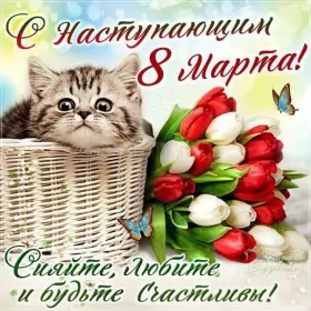 Открытки с наступающим 8 марта Открытки картинки с наступающим праздником 8 марта с женским днём,котик