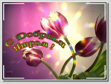 Доброе весеннее утро Открытка доброе весеннее утро,с добрым весенним утром,весеннее утро