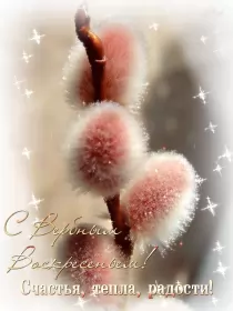 Открытки вербное воскресенье Открытки гиф, мерцающие с  вербным , на вербное воскресенье 