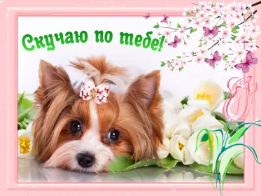 Открытки скучаю Открытка гиф ,мерцающая скучаю,скучаю по тебе,скучаю сильно.