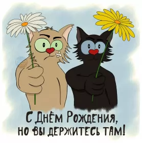 Открытки прикольные с днём рождения Открытка прикольная на день рождения,с днём рождения поздравления