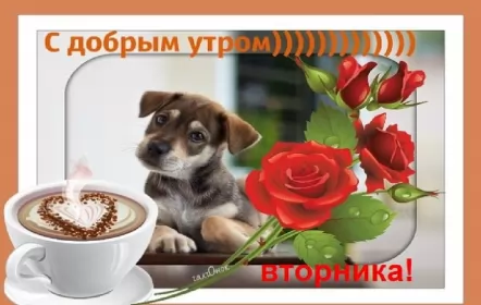 Доброе утро дни недели Открытка красивая доброе утро по дням недели, доброе утро вторника