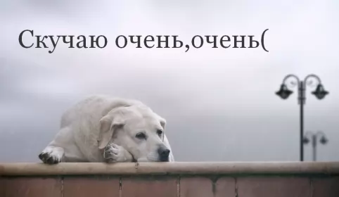 Открытки скучаю Открытки скучаю я скучаю по тебе,картинки с надписью скучаю .