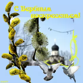Открытки вербное воскресенье Открытка картинка с вербным воскресеньем,на вербное,с вербным