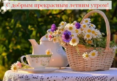 Доброе летнее утро Открытка с добрым летним утром,доброго летнего утра,летнее утро,карзина с цветами