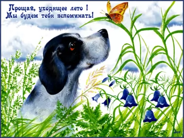 Открытки с последним днём лета Открытка последний день лета,с последним днём уходящего лета