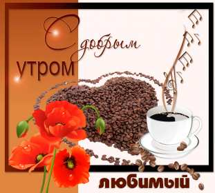 Открытка доброе утро любимый,любовь моя,дорогой,любимый мой  Открытка открытки картинка картинки с пожеланиями доброго утра любимому человеку,доброе утро любимый,дорогой,открытка картинка с добрым утром мой любимый,любимый