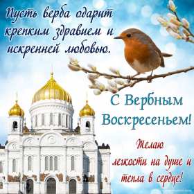 Открытка картинка с вербным воскресеньем,на вербное,с вербным Открытки открытка картинки картинка вербное,на вербное воскресенье,с вербным воскресеньем,красивая открытка картинка вербное,вербное воскресенье скачать бесплатно