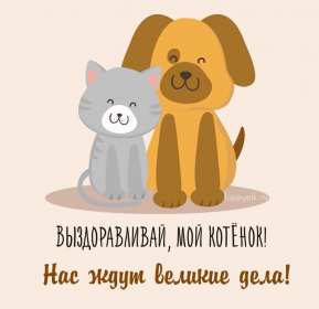 Открытки выздоравливай ,пожелания скорейшего выздоравления,кот и собака Открытка открытки картинка картинки скорейшего выздоравления,выздоравливай,открытка с пожеланиями скорейшего выздоравления,выздоравливай,поправляйся скачать бесплатно