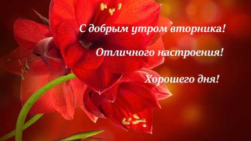 Открытка красивая доброе утро по дням недели, доброе утро вторника Картинка,открытка доброе утро вторника,открытки,открытка с добрым утром вторник,картинки,открытки вторник с добрым утром,яркие открытки с пожеланиями доброго утра вторника