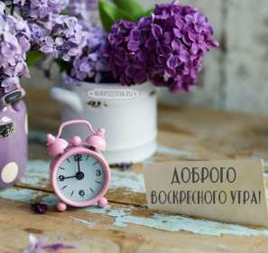 Открытка с добрым утром воскресенья,с добрым воскресным утром Открытка открытки с пожеланиями доброго утра воскресенья,картинка картинки воскресенье доброе утро,добрые пожелания доброго утра воскресенья скачать бесплатно .