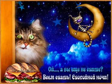 Открытки спокойной ночи,спокойного сна,пожелания спокойной ночи Картинки открытки спокойной ночи,пожелания спокойного сна,открытка открытки спокойной ночи,сладких снов,картинка с пожеланиями спокойной ночи скачать бесплатно .