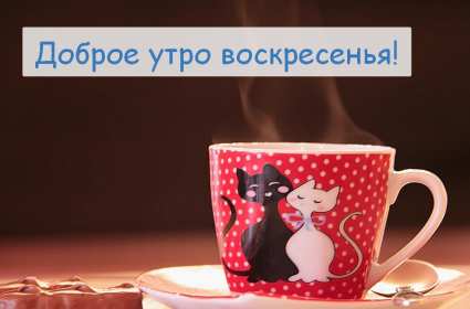 Открытка с добрым утром воскресенья,с добрым воскресным утром Открытка открытки с пожеланиями доброго утра воскресенья,картинка картинки воскресенье доброе утро,добрые пожелания доброго утра воскресенья скачать бесплатно .